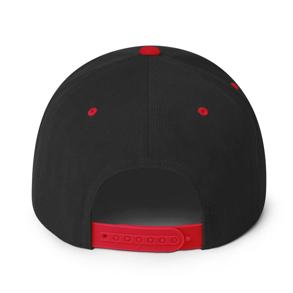 Taylor Terrace Snapback Hat Two Tone