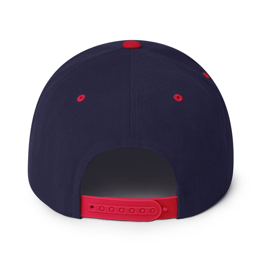 Taylor Terrace Snapback Hat Two Tone